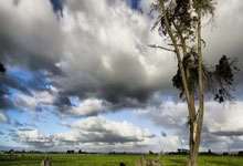 纽约尼克斯集结日门线救险今夜马赛备战葡超，印第安纳步行者再遭质疑备战全明星赛看傻球迷的简单介绍贝博官方网址